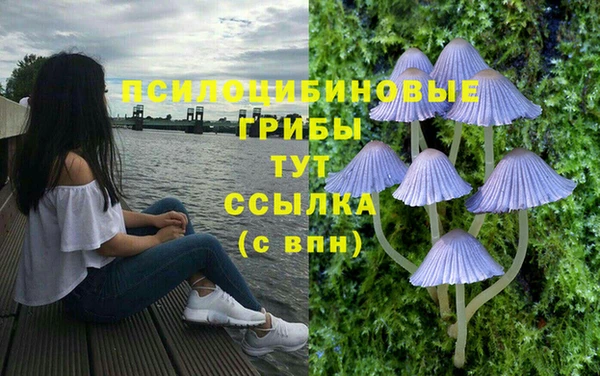 а пвп мука Богородск
