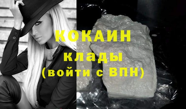 хмурый Бородино