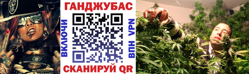 где найти   Княгинино  Каннабис SATIVA & INDICA 